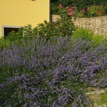 Podere Filicaia
