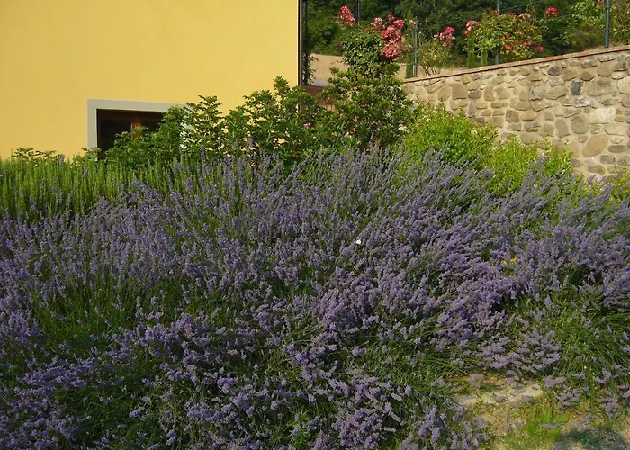 Podere Filicaia