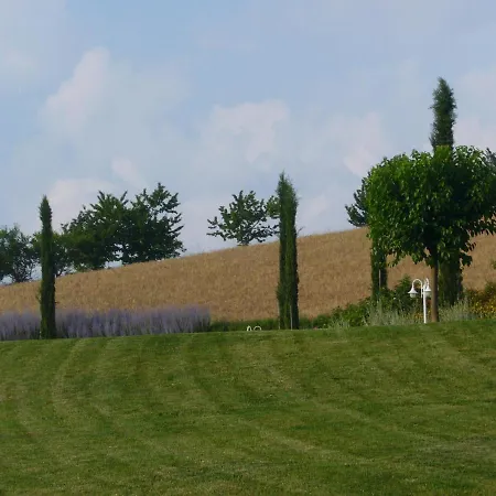 Podere Filicaia * San Giovanni Valdarno
